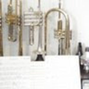 Meet your Posher, Antonio